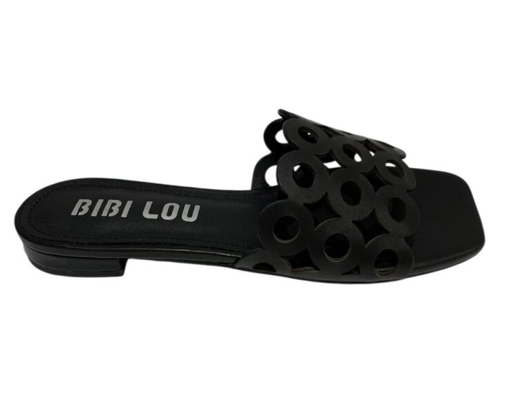BIBI 6 26 1